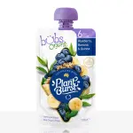 Organic Blueberry, Banana and Quinoa