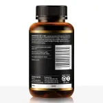 GO Healthy Oyster Plus Zinc 1-A-DAY 120 Capsules