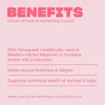 Ultinatal Breastfeeding Support - 90 Tablets
